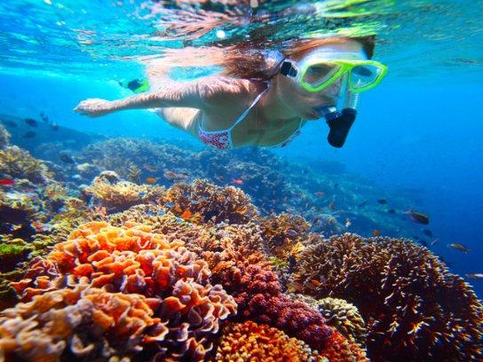 张朝阳物理学解释青海湖电池容量大，硅的加入起到关键作用？